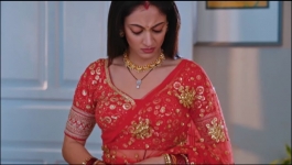 Apollena - 28th January 2025